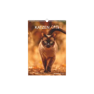 Katzen